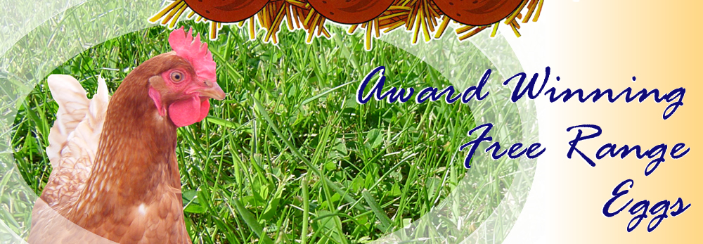 Scotlay Eggs Scotland's Finest - Free Range Eggs